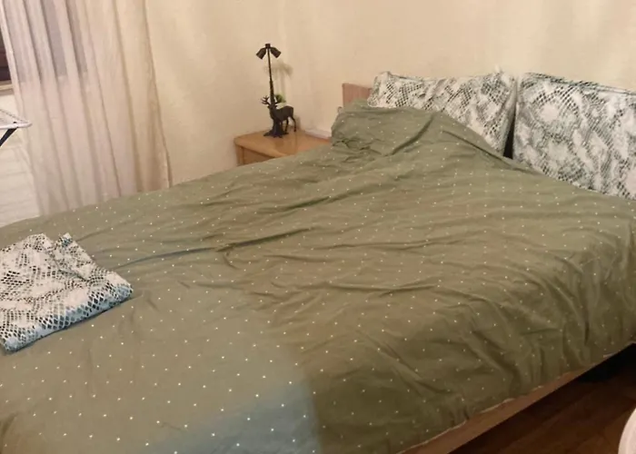 Grosse 100 M Zwei Schlafzimmer Kueche Internet Essbereich Waschmaschine Spuelmaschine Eigenes Badezimmer Séjour chez l'habitant Duisbourg