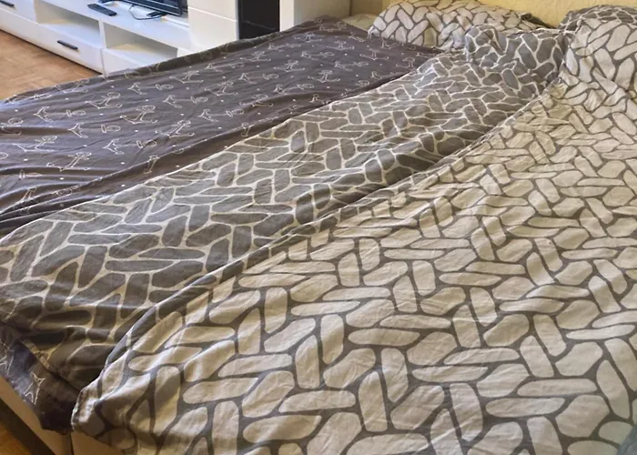 Grosse 100 M Zwei Schlafzimmer Kueche Internet Essbereich Waschmaschine Spuelmaschine Eigenes Badezimmer Kwatera prywatna